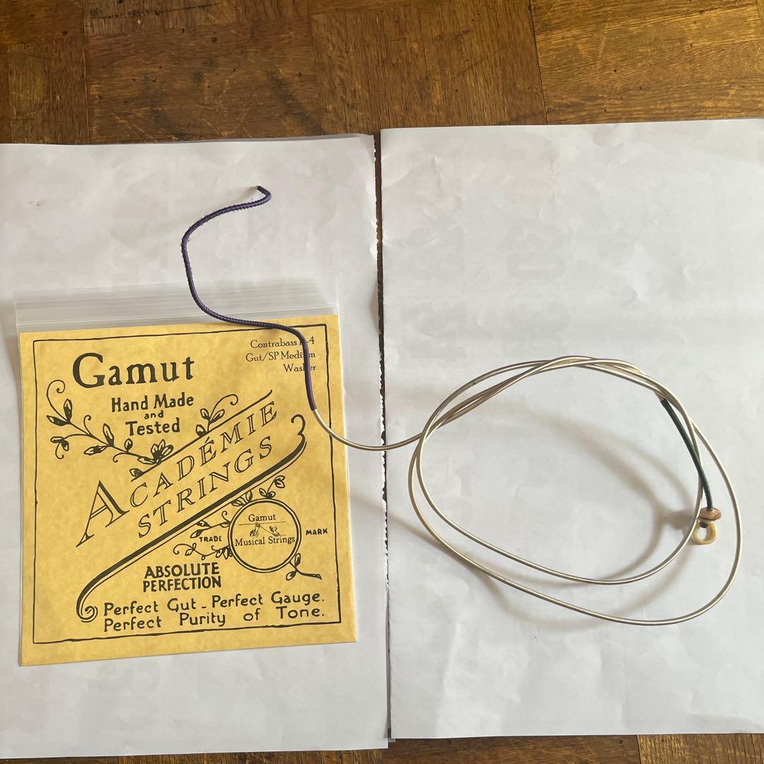 コントラバス ガット弦 Gamut E線