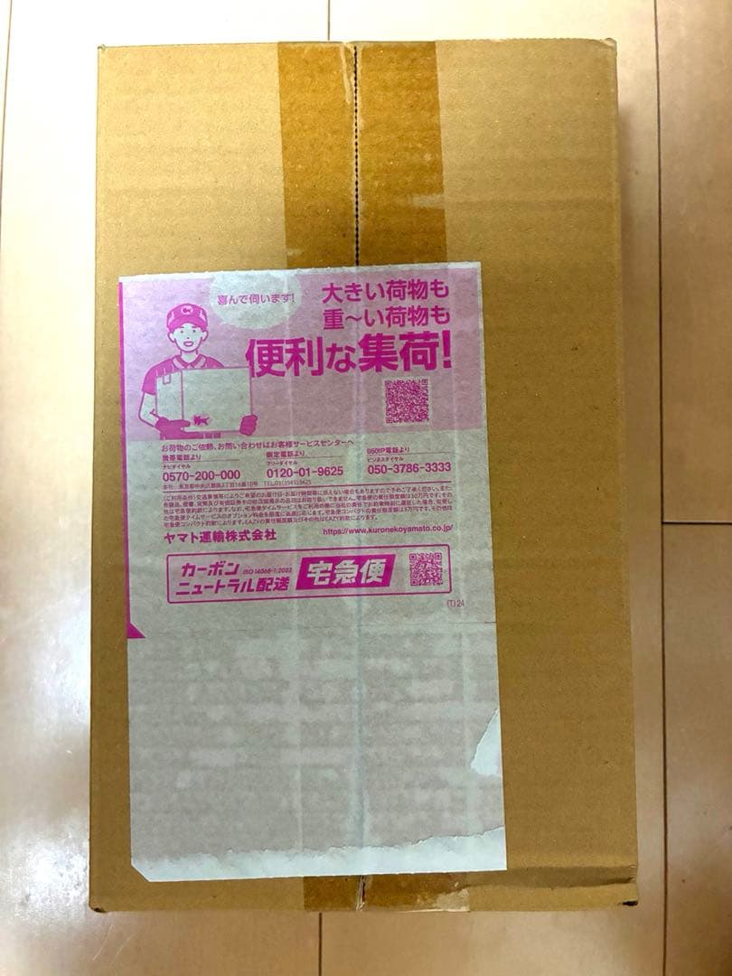 ワールドコレクタブルフィギュア 応募者全員サービス カグラバチ 六平千鉱 漣伯理