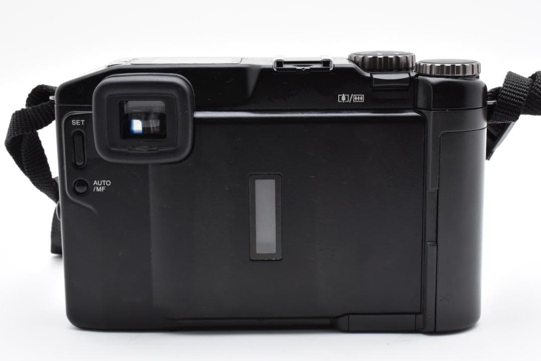 富士フイルム FUJIFILM FUJIX DS-300 キャリング LC-D3