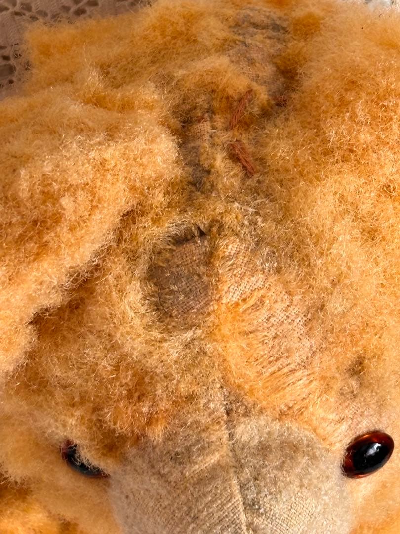 ドイツ　ʕ•ᴥ•ʔ ヴィンテージベア　アンティークベア　アンティークテディベア