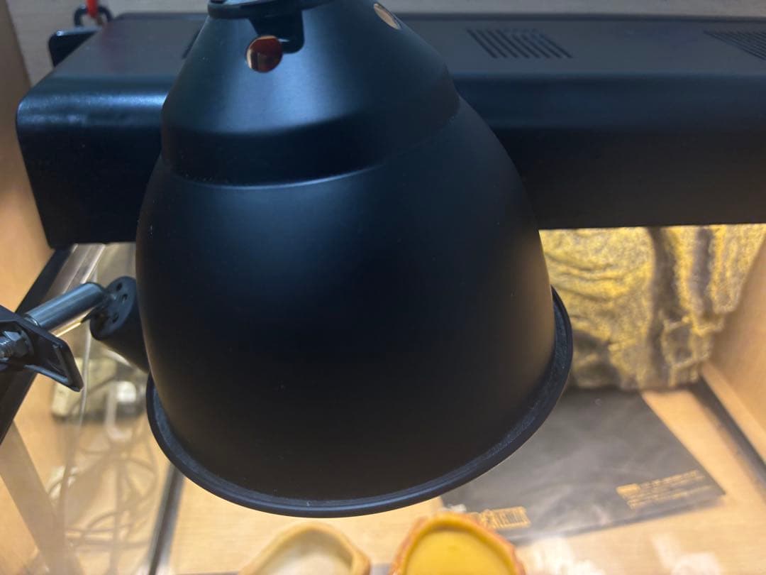 爬虫類飼育セット グラステラリウム6030＋ライト・食器類付き