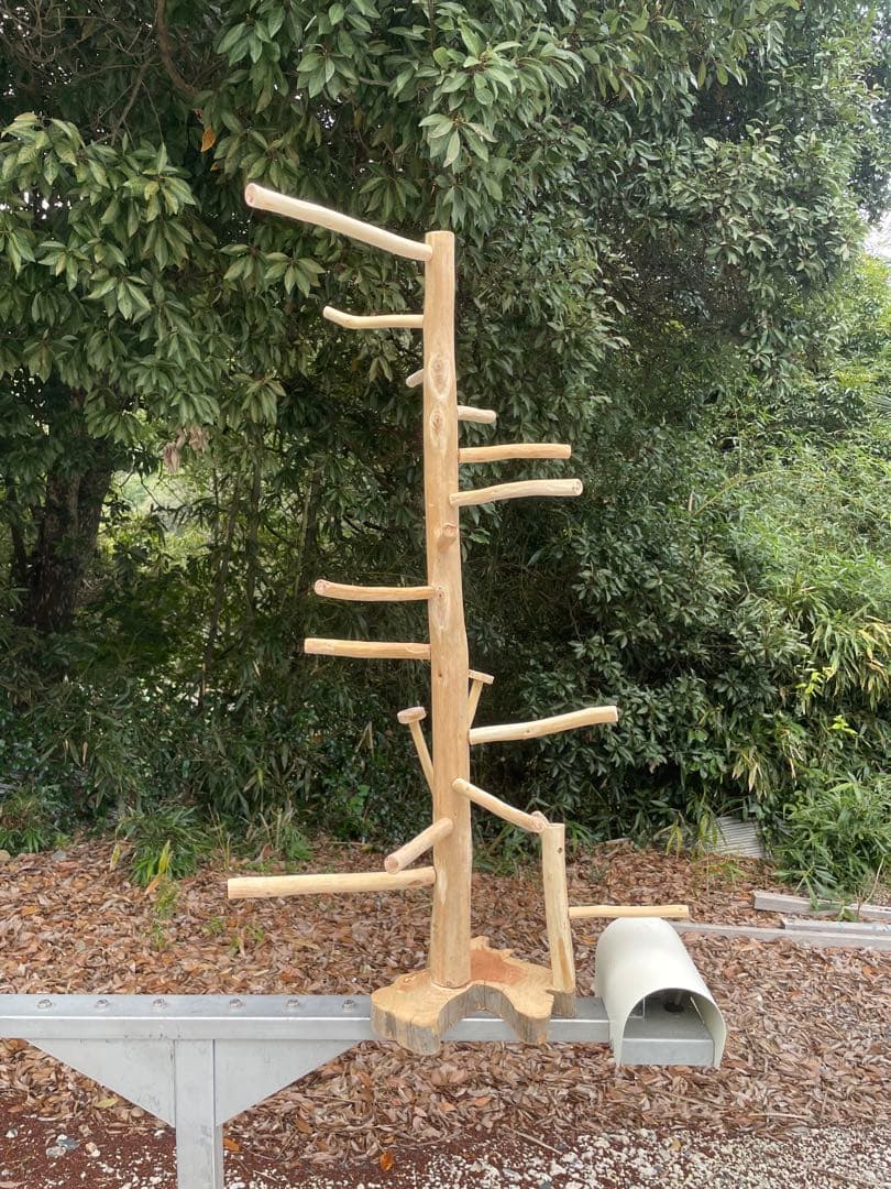 国産ヒノキ　鳥用止まり木　スタンド　アスレチック階段　約100センチ