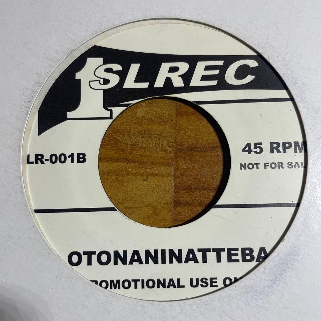 RIP BOOM WINKLE / THE BOOM 小沢健二