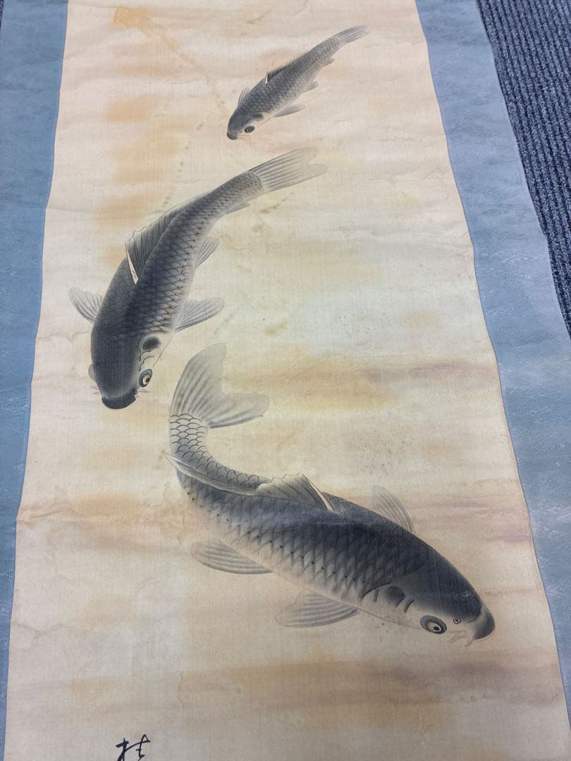 掛軸　鯉図　三匹　昇鯉図　絹本着彩　肉筆画