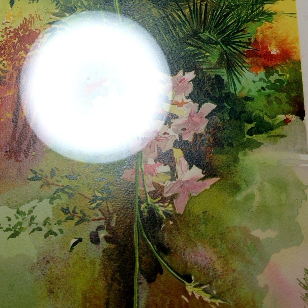 【8000円値下げ】トレンツ・リャド「つりがね草」リトグラフ 版画 58.5cm