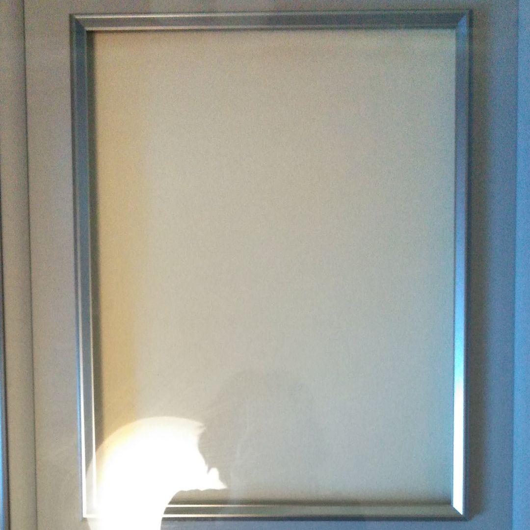 日本画　油絵用　ステンレス額縁　F6 60%OFF!!