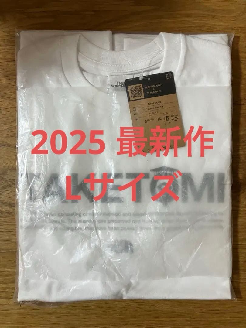 THE NORTH FACE限定TAKETOMI Tシャツ　石垣島　Lサイズ