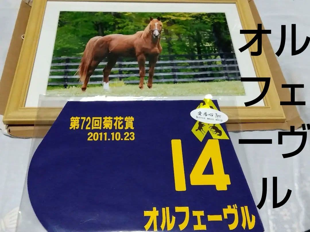 【レア商品】競馬 オルフェーヴル 写真フレーム付 ミニゼッケンセット
