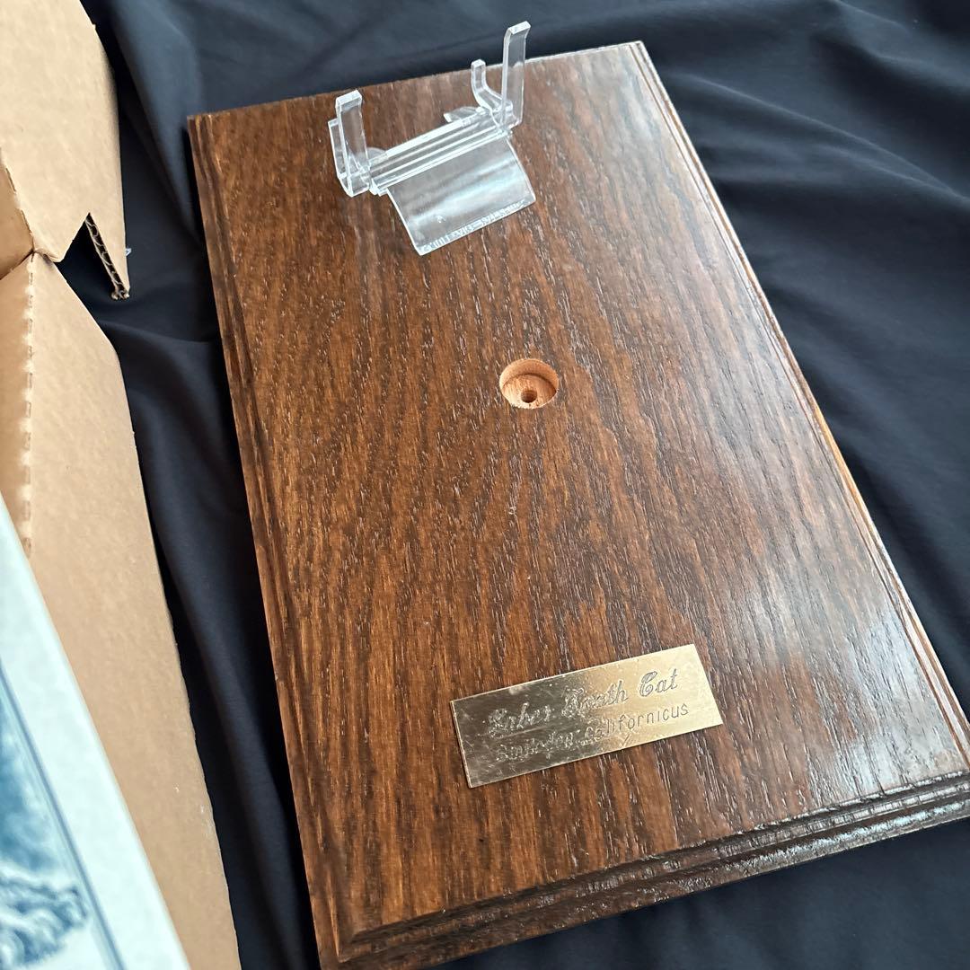 サーベルタイガー標本　アメリカ製