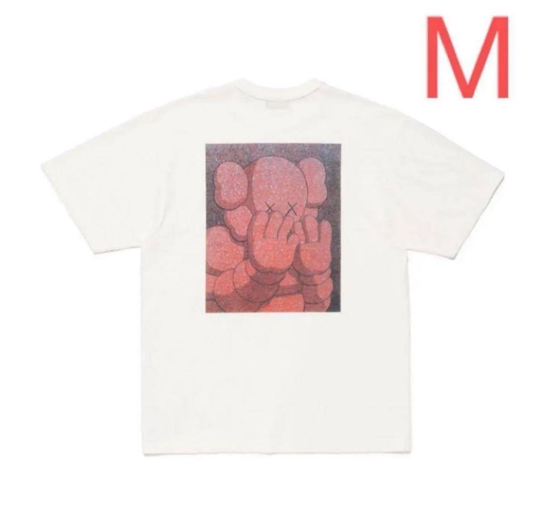 HUMAN MADE × KAWS T-Shirt Mサイズ + ノベルティ
