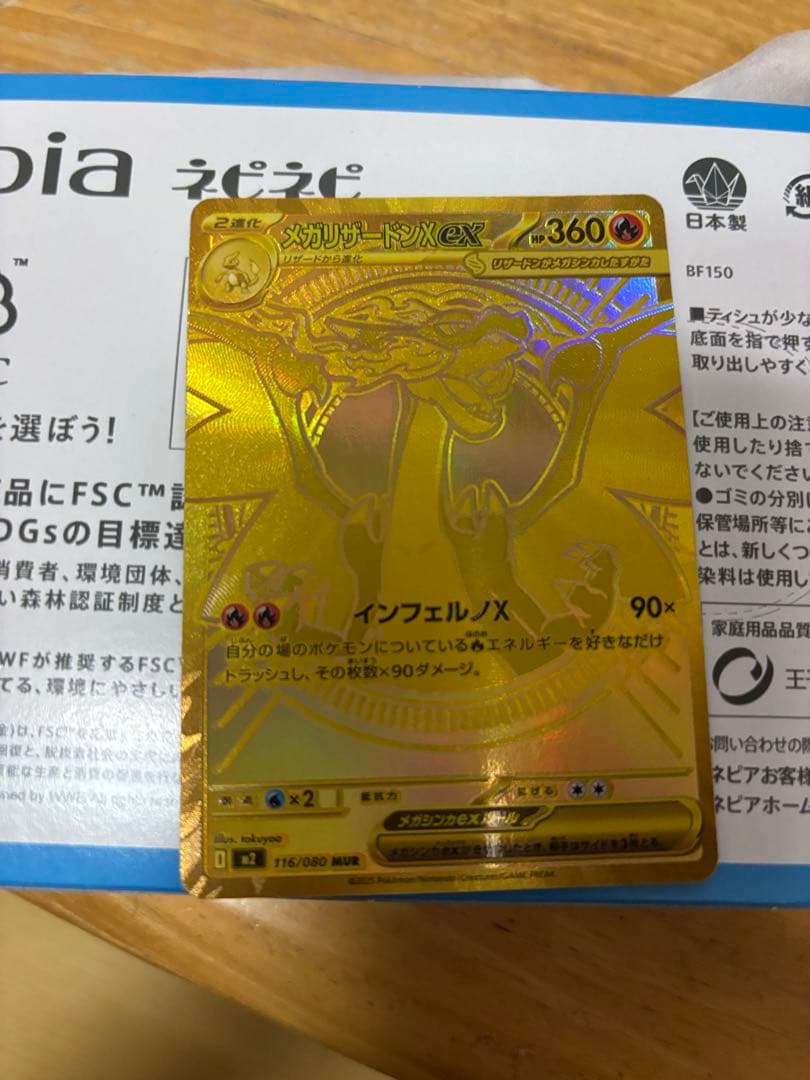 インフェルノ　メガリザードン　MUR