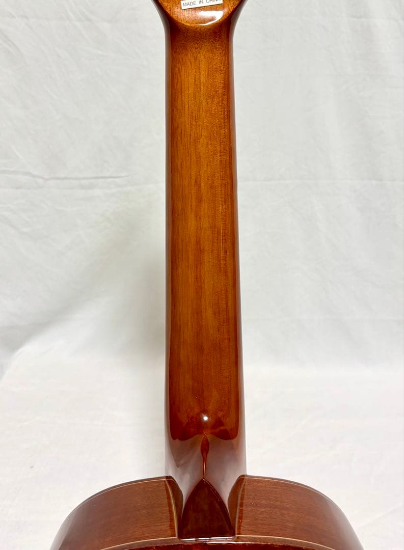 【新品弦張替済】音音 12弦エレアコ OT-3E NA by James