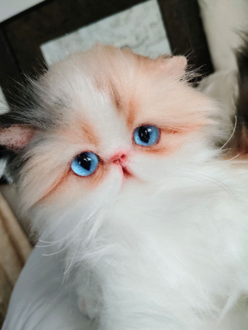 ハート模様❤子猫のドロップちゃん❤エキゾチック♡アートドール♡ぬいぐるみ♡