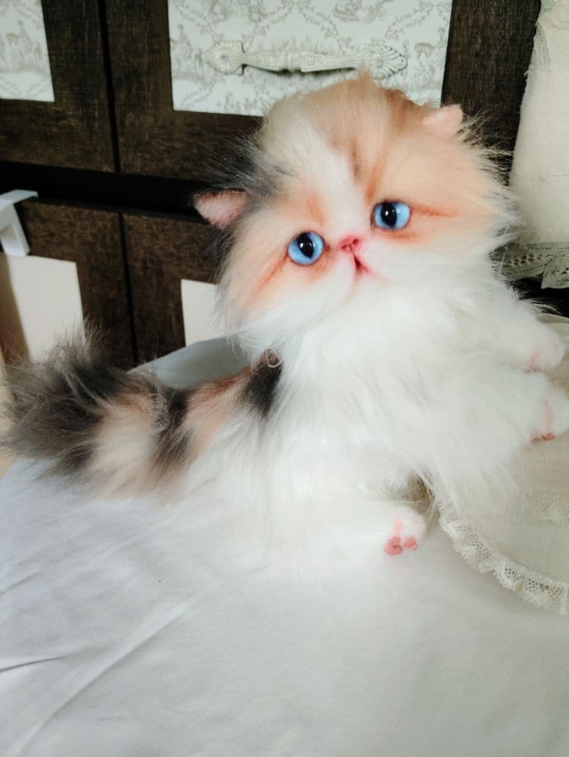 ハート模様❤子猫のドロップちゃん❤エキゾチック♡アートドール♡ぬいぐるみ♡