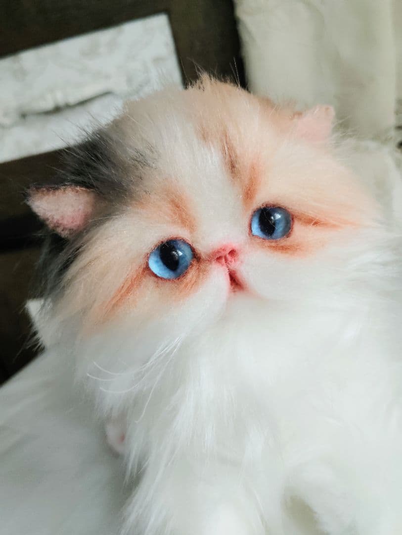 ハート模様❤子猫のドロップちゃん❤エキゾチック♡アートドール♡ぬいぐるみ♡