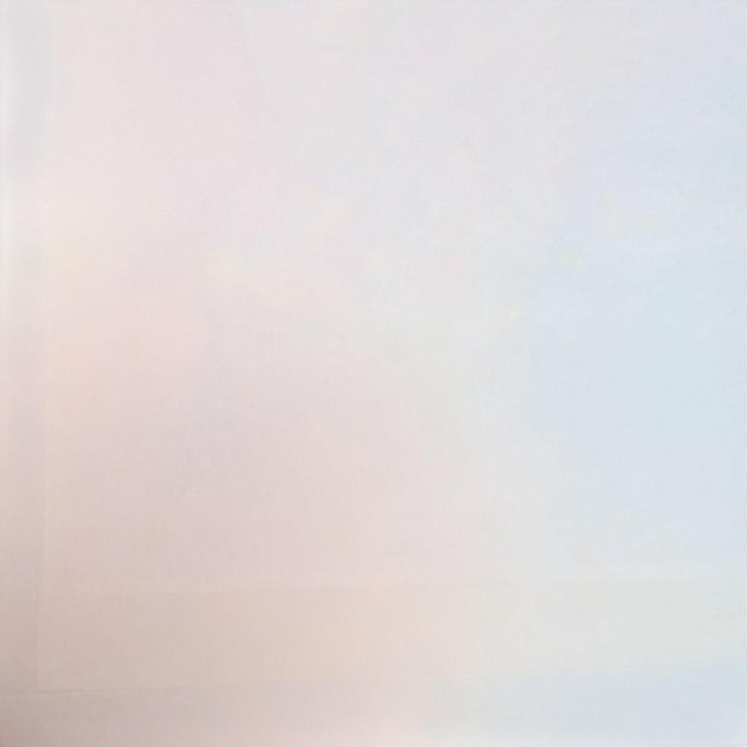 【希少作】 「金魚ネプタの柵」裏彩色　 棟方志功