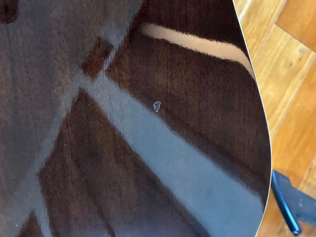 ProMartin w-200 縦ロゴ　アコースティックギター