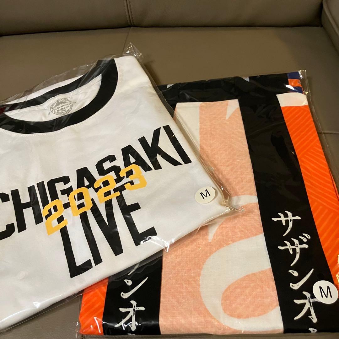 ※最終【サザンオールスターズ】茅ヶ崎2023 Tシャツ＆法被2点セット サイズM