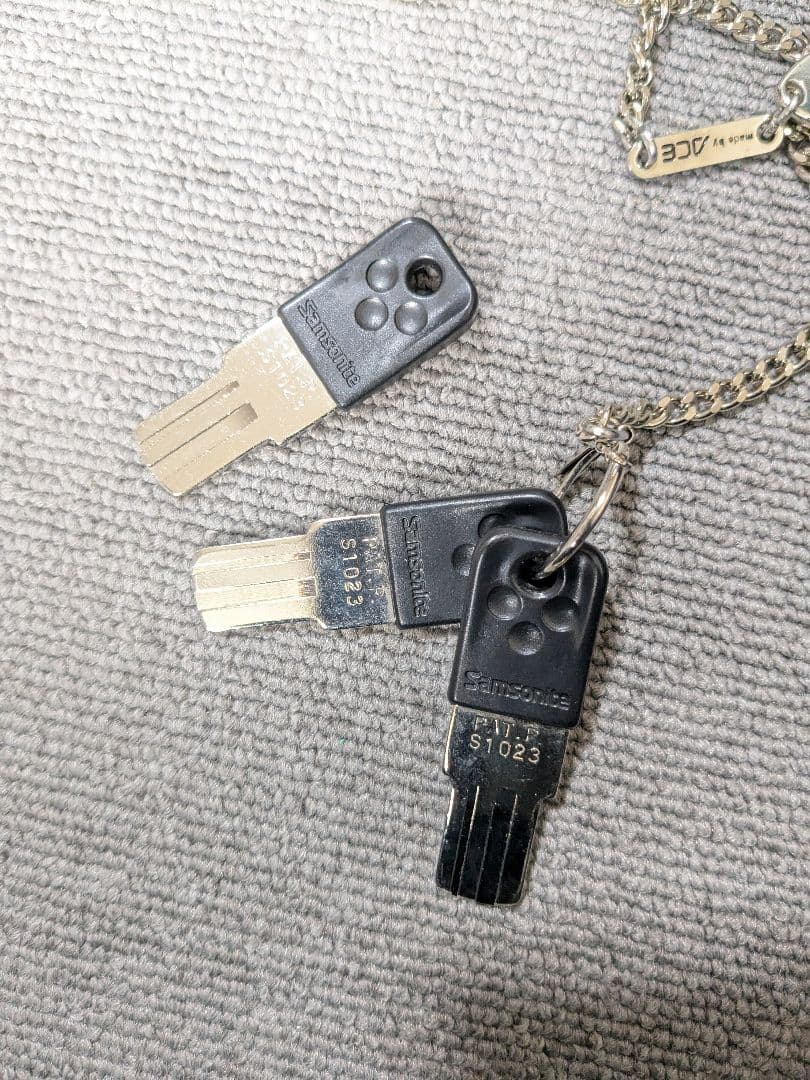 Samsonite キャリーケース スーツケース ピギーバッグ 大容量 110L