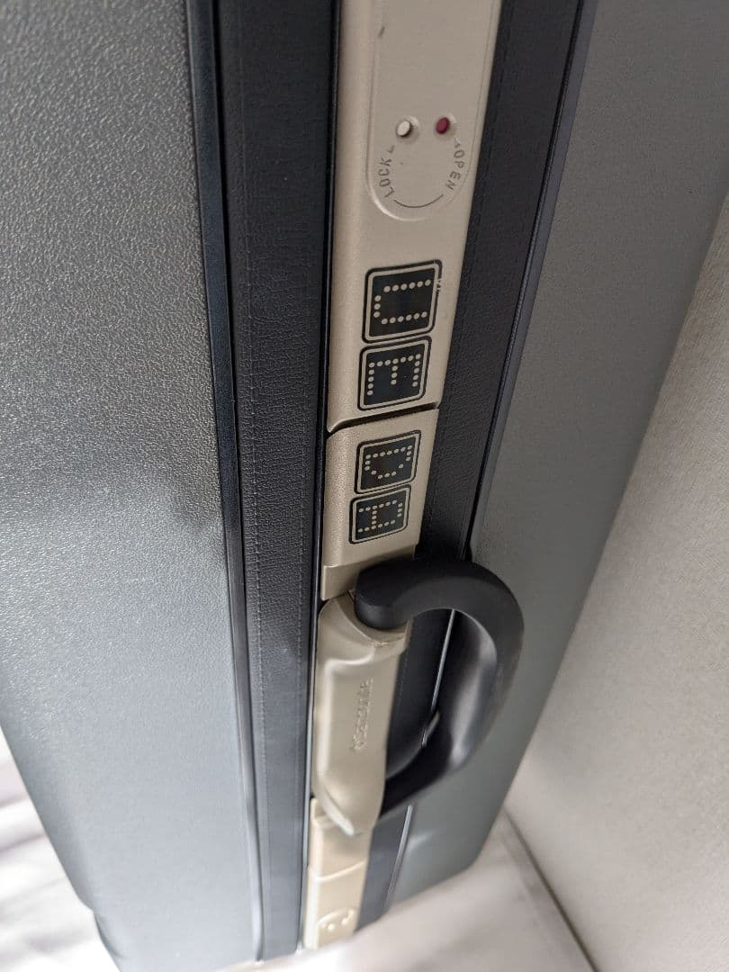 Samsonite キャリーケース スーツケース ピギーバッグ 大容量 110L