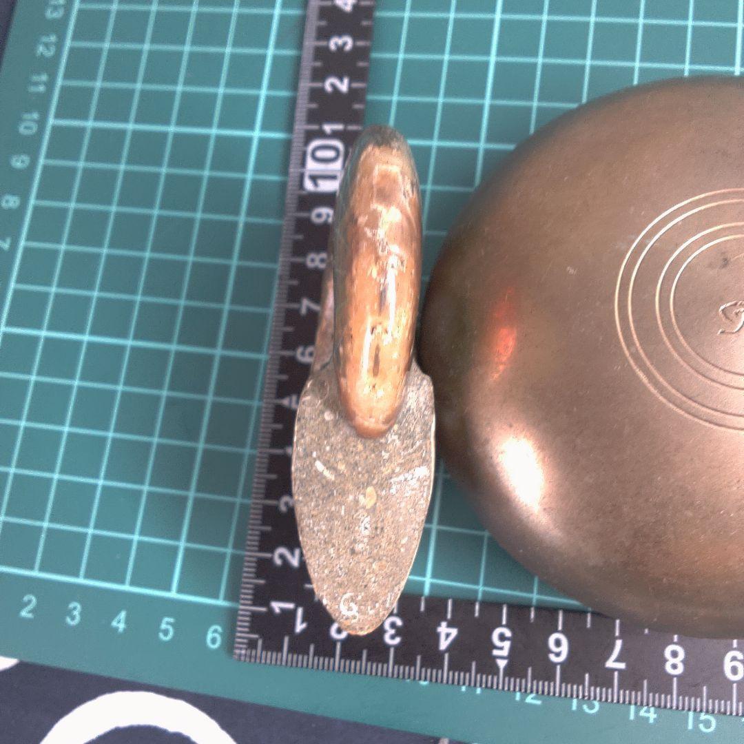 小物１ アンモナイトの化石