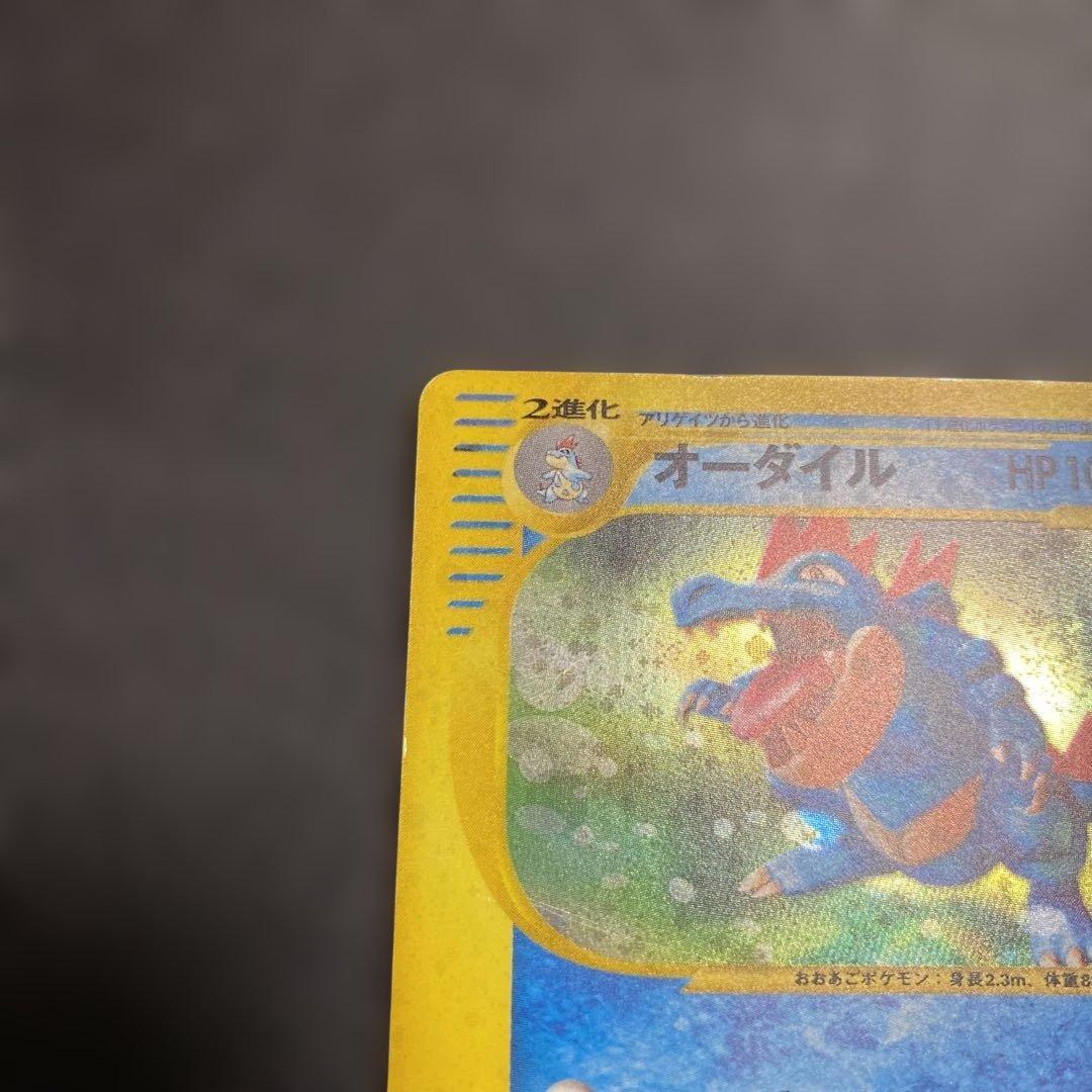 No.1082 オーダイル