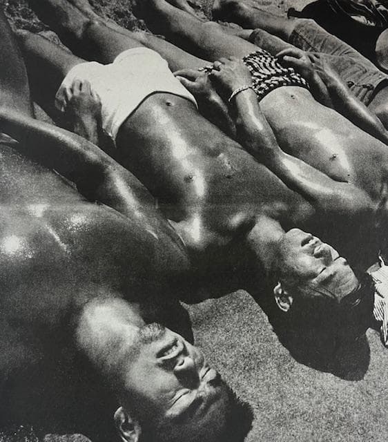 額装済作品/森山大道/UntitledHayama 1967/インテリア/アート