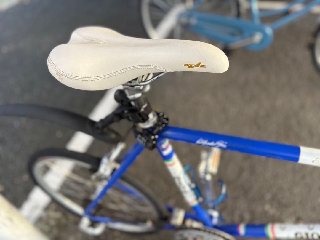 GIOS クロモリ ミニベロ エンリコ　カスタム８段ギア （直接引き取り限定）