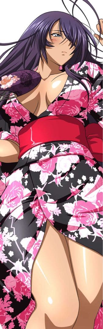 超希少 一騎当千 バーストファイト 抱き枕カバー 関羽雲長 モバゲー 世界に数個