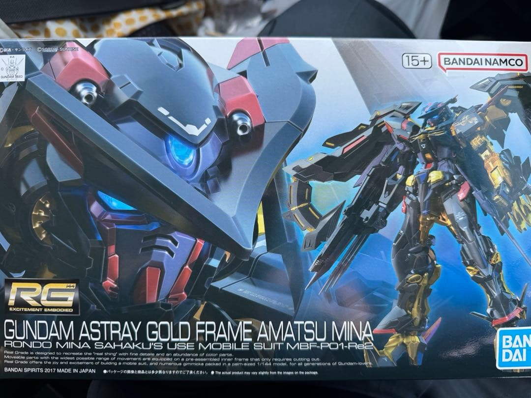 RGガンダムアストレイゴールドフレーム天ミナ　HGUCデルタガンダム　セット