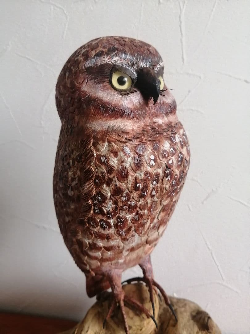 木製 アナホリフクロウ 梟 野鳥彫刻 バードカービング 木彫 野鳥