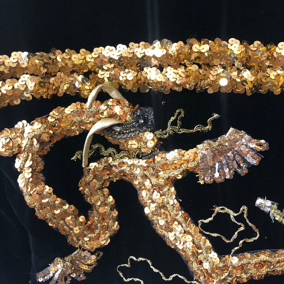 Jimmy Page 73年 狂熱のライブ 衣装　LED ZEPPELIN