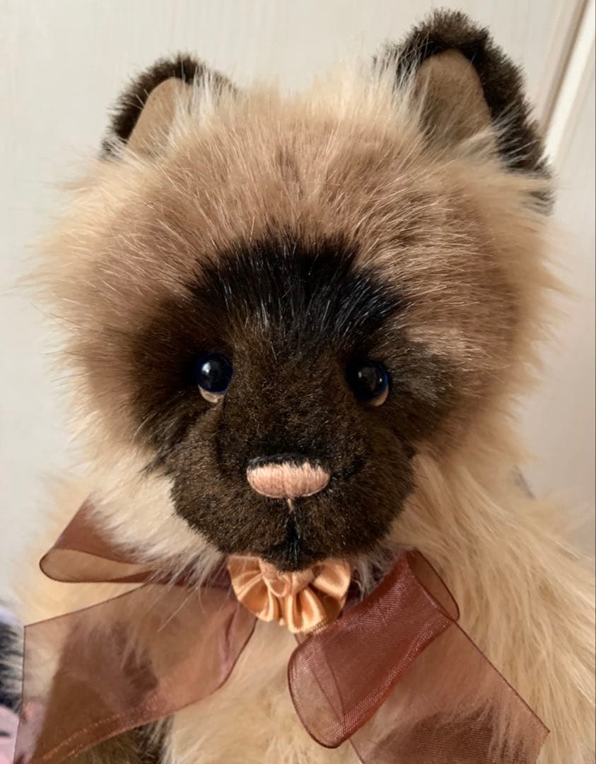 チャーリーベアーズ　テディベア　ネコ　シャムネコ