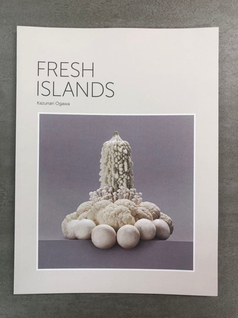 Kazunari Ogawa FRESH  作品集