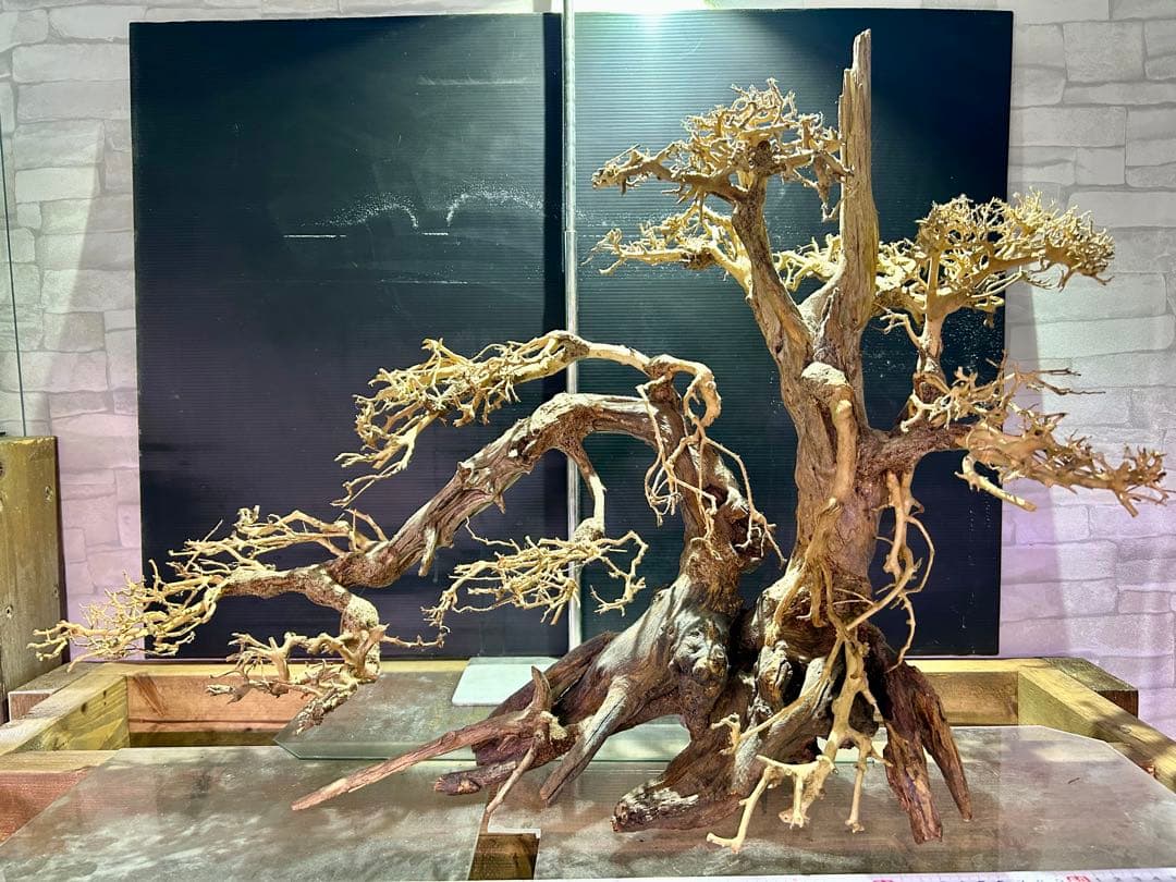 一点限り！超メルカリ市セール！盆栽流木XXLサイズ！