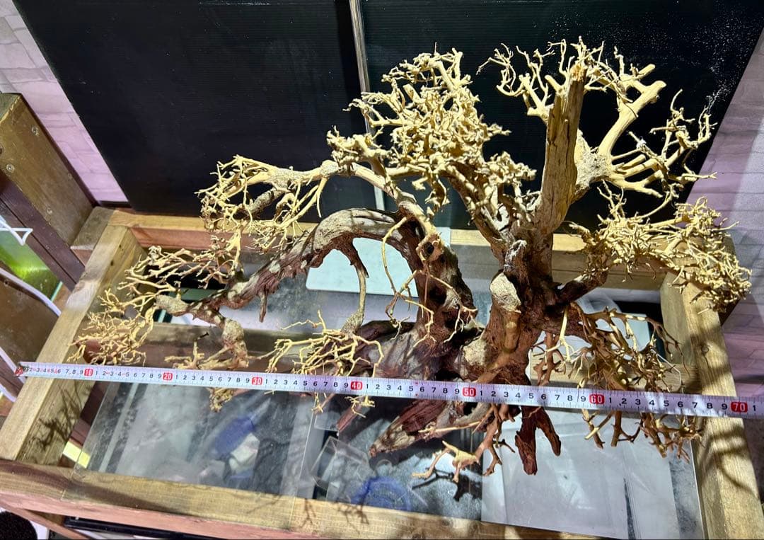 一点限り！超メルカリ市セール！盆栽流木XXLサイズ！