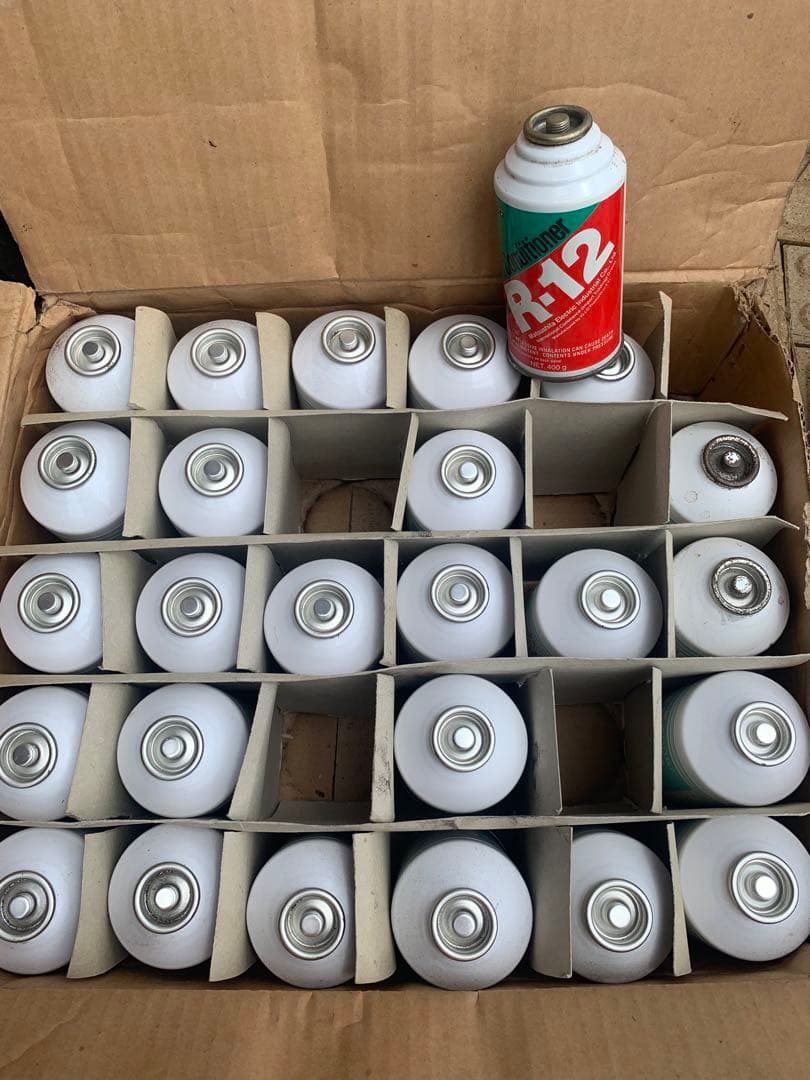 横ちゃん専用　フレオン12