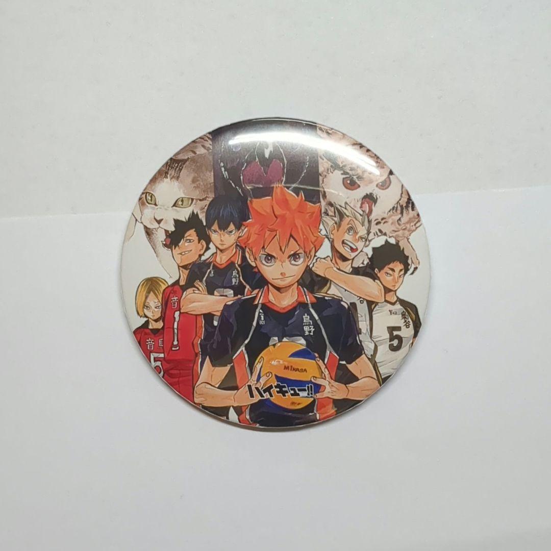 ハイキュー コレクション缶バッジ 3弾+4弾 8種 レア2種