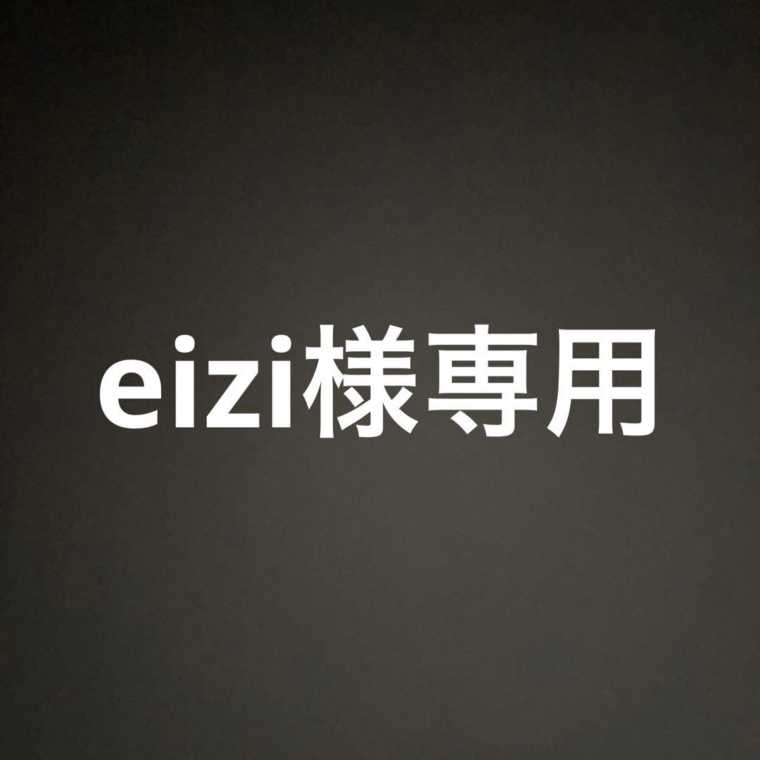 コレクション eizi