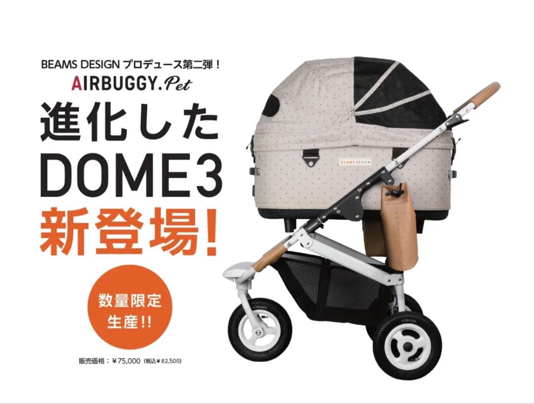 エアバギー ドーム3 ラージ dome3 ビームス別注 豪華おまけ付き