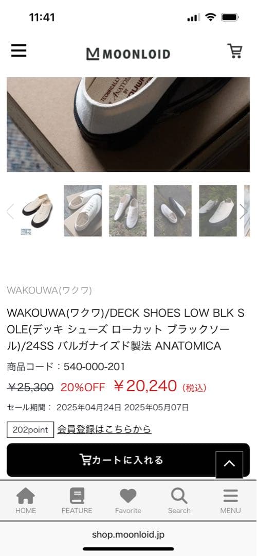 デッキシューズ