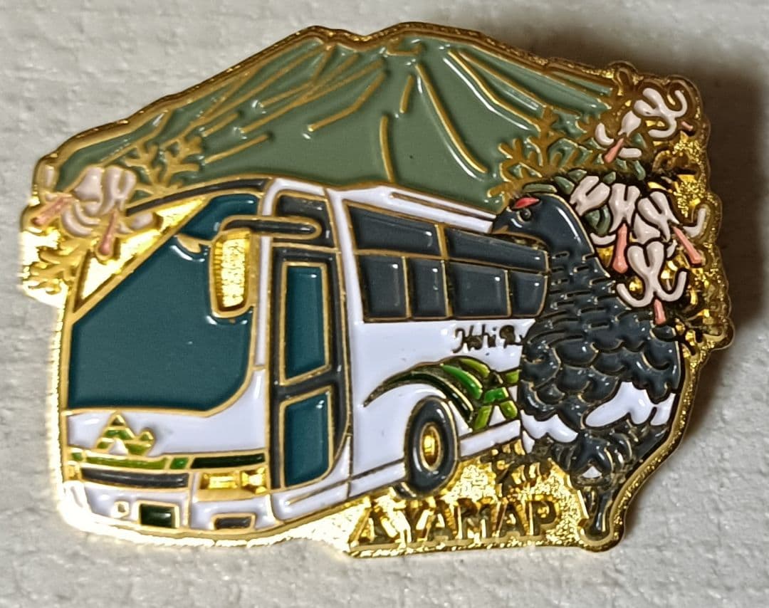 濃飛バス YAMAP コラボ ピンバッジ 数量限定 超レア品