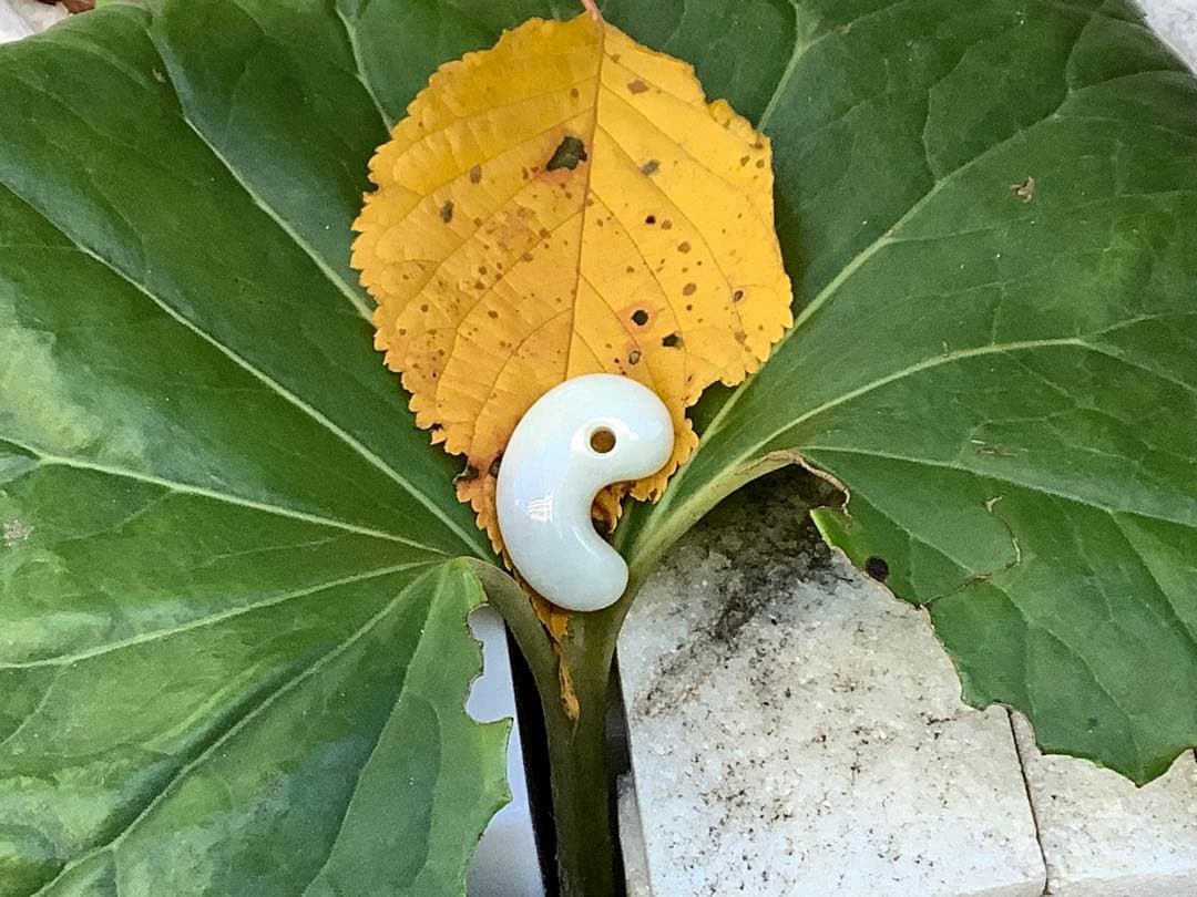 ✳極上品種のアイスジェイド氷　糸魚川翡翠勾玉　一生物の本物　お値段に自信　鑑別付