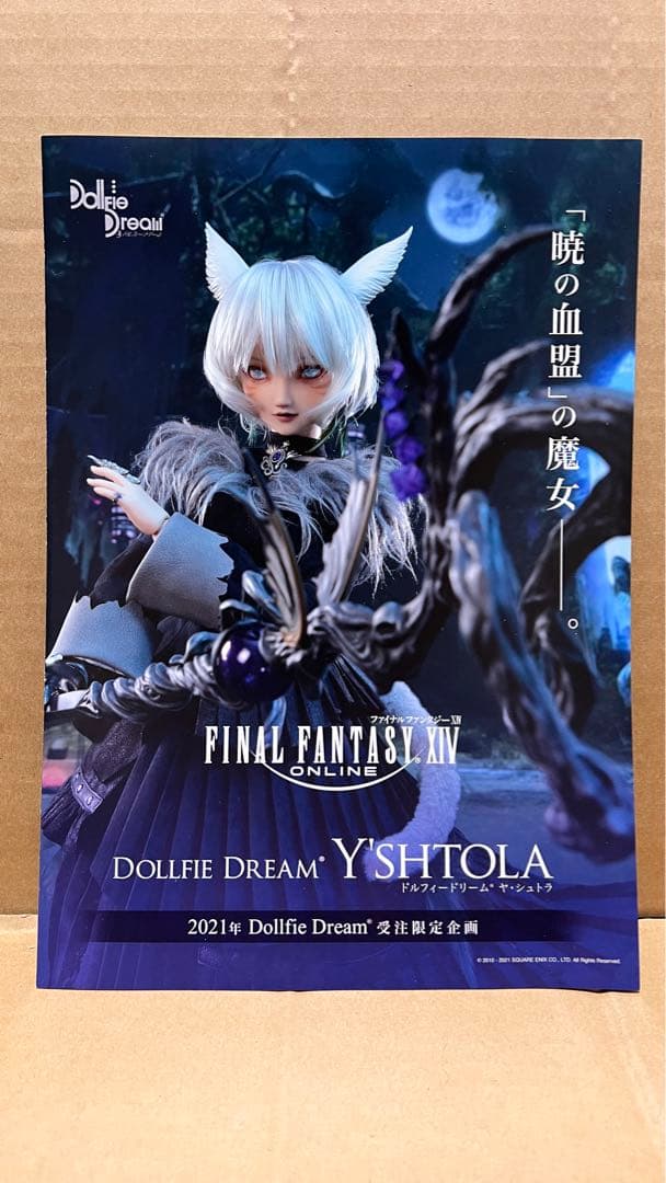 ヤ・シュトラ ドルフィードリーム DD ボークス 未開封 ボディタイツ、おまけ付