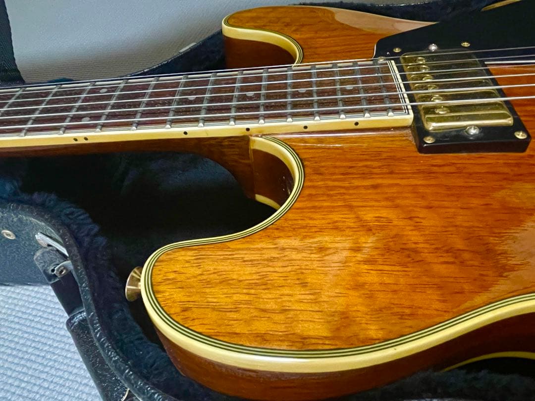 レア 美品 ARIA PRO II アリアプロ TA-550WA フルアコ