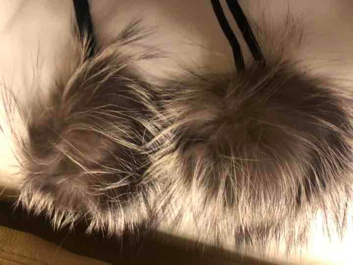 pupply hills パピリーヒルズ　キャリーバッグ