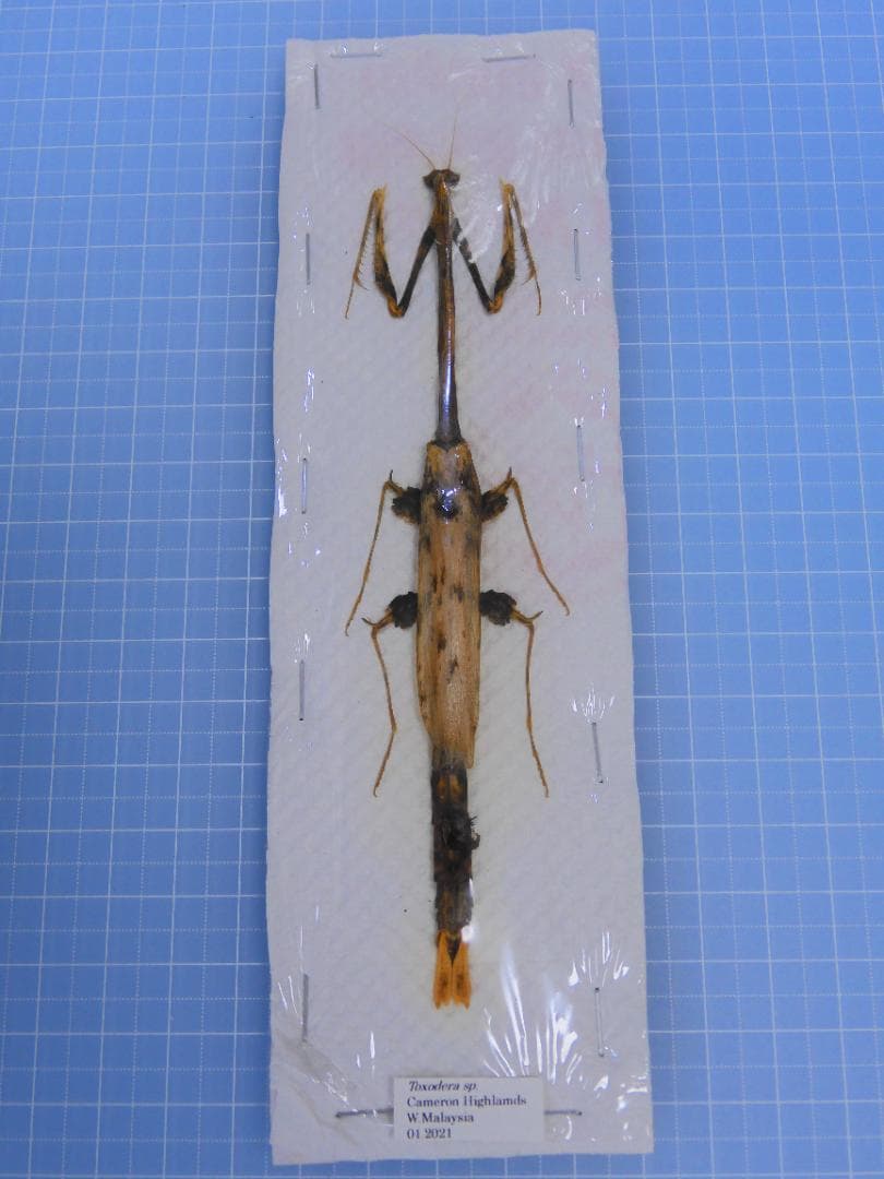 kawara198様 リクエスト 4点 まとめ商品