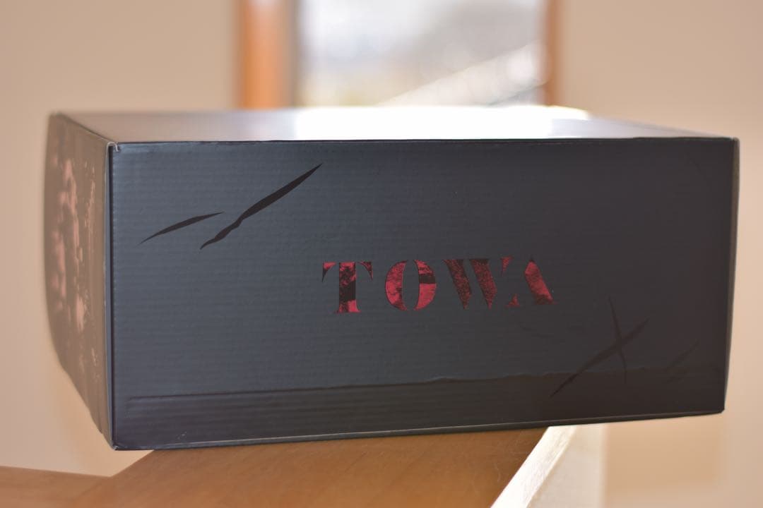 スロウダメージ トワ 1/6スケールフィギュア