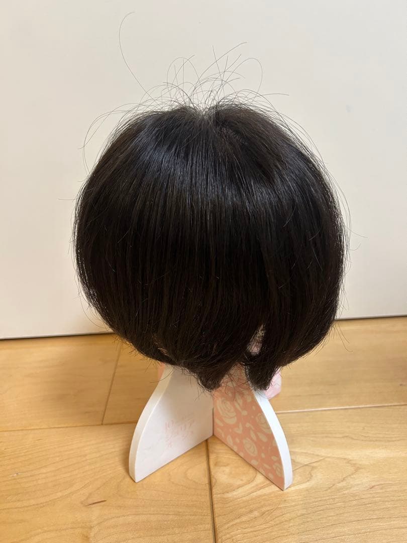 ジュリアオージェ　レフィア