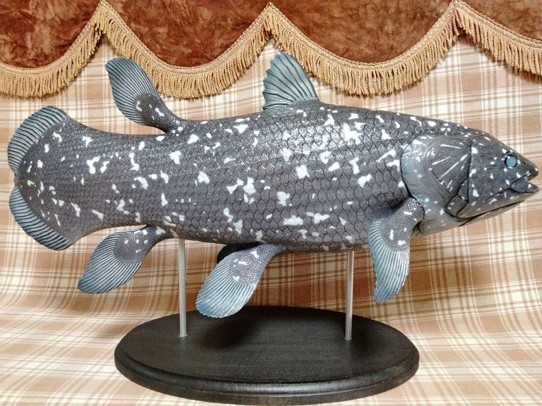 ハンドメイド　61cmシーラカンス　フィギュア　レプリカ　化石魚　古代魚　置物